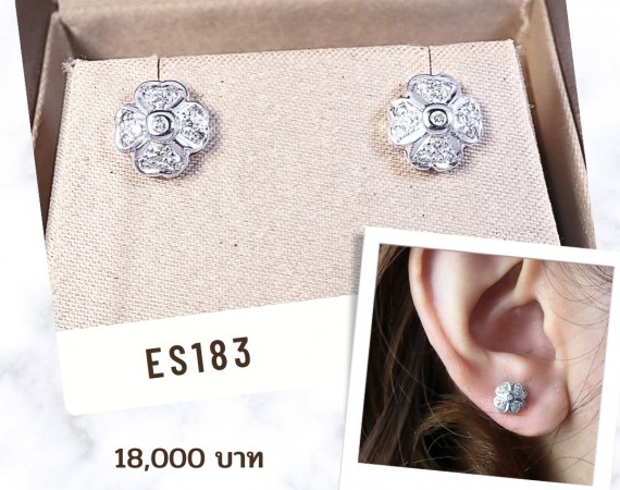 ต่างหูใบโคลเวอร์